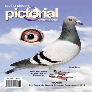 Pictorial International Subscription and Back Issues